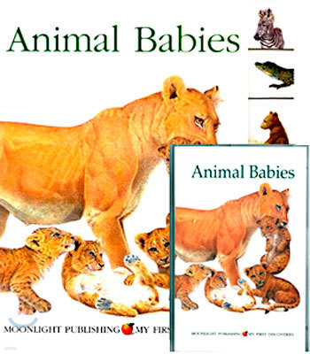 Animal Babies