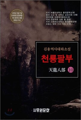 천룡팔부 10