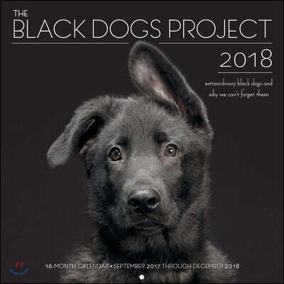 The Black Dogs Project 2018 Calendar