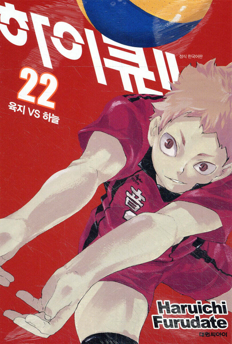 하이큐!! 22