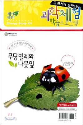 무당벌레와 나뭇잎