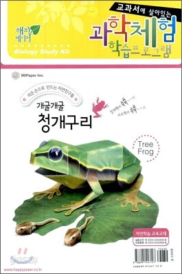 개굴개굴 청개구리