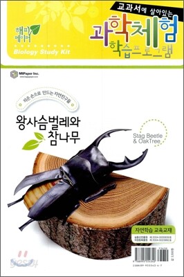 왕사슴벌레와 참나무