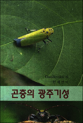 곤충의 광주기성