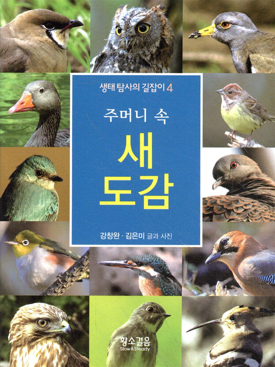 주머니 속 새 도감