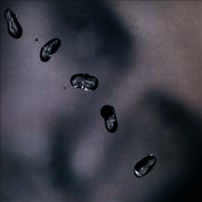 Peter Gabriel — Up (Remastered)(Gatefold Cover) 앨범 커버