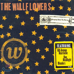 The Wallflowers - Bringing Down The Horse