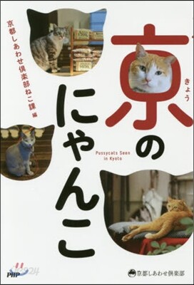 京のにゃんこ