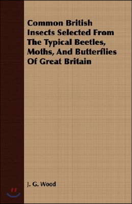 Common British Insects Selected From The Typical Beetles, Moths, And Butterflies Of Great Britain