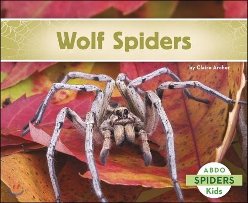 Wolf Spiders