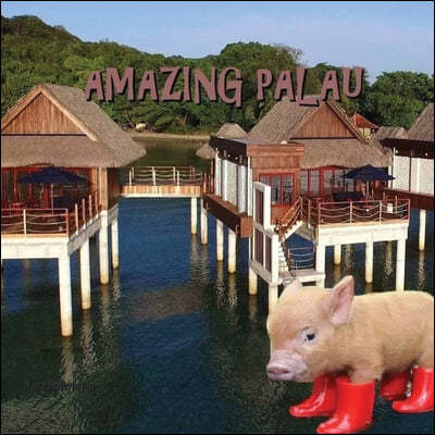 Amazing Palau