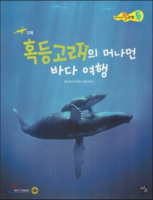 올리브톡 살아있는 감성자연 02 혹등고래의 머나먼 바다 여행 (고래) 