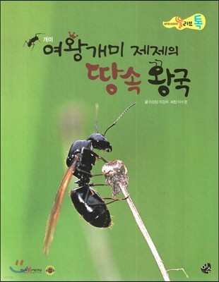 올리브톡 살아있는 감성자연 34 여왕개미 제제의 땅속 왕국 (곤충-개미) 