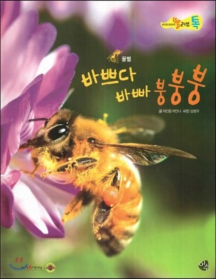 올리브톡 살아있는 감성자연 35 바쁘다 바빠 붕붕붕 (곤충-꿀벌) 