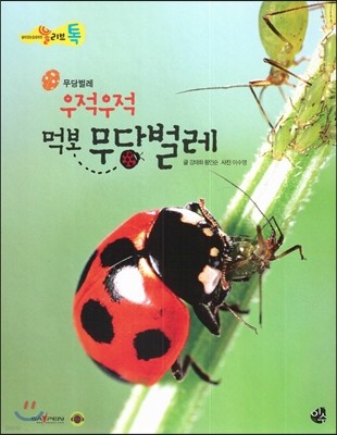 올리브톡 살아있는 감성자연 40 우적우적 먹보 무당벌레 (곤충-무당벌레) 