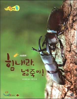 올리브톡 살아있는 감성자연 43 힘내라, 넓죽이! (곤충-사슴벌레) 