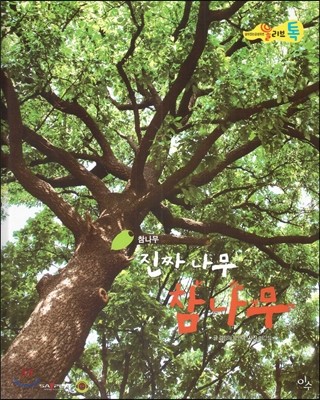 올리브톡 살아있는 감성자연 60 진짜 나무 참나무 (식물-참나무) 