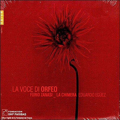 Furio Zanasi 오르페오의 목소리 (La Voce di Orfeo: A tribute to Francesco Rasi)