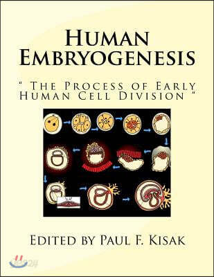 Human Embryogenesis: " The Process of Early Human Cell Division "