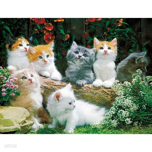 고양이 (150조각/OM102)