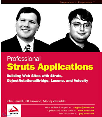 Professional Struts Applications