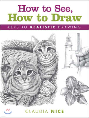 How to See, How to Draw