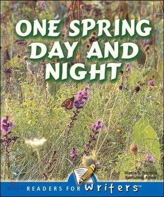 One Spring Day and Night