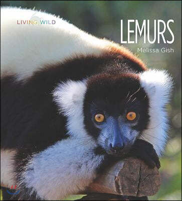 Lemurs