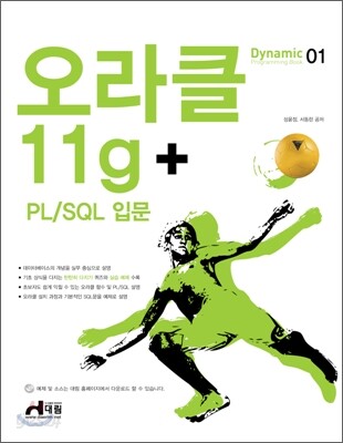오라클 11g + PL/SQL