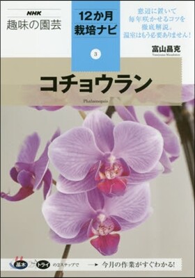 12か月栽培ナビ(3)コチョウラン