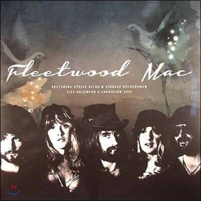 Fleetwood Mac (플리트우드 맥) - Life Becoming A Landslide [2LP]