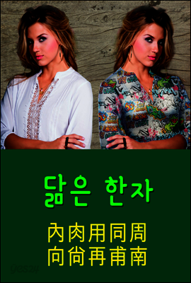 닮은 한자 : 內肉用同周向尙再甫南