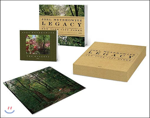 Joel Meyerowitz: Legacy Box Set: The Preservation of Wilderness in New York City Parks