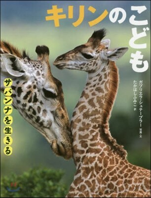 キリンのこども