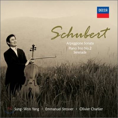 양성원 - 슈베르트: 아르페지오네 소나타 (Schubert: Sonata for Arpeggione and Piano in A minor, D821)