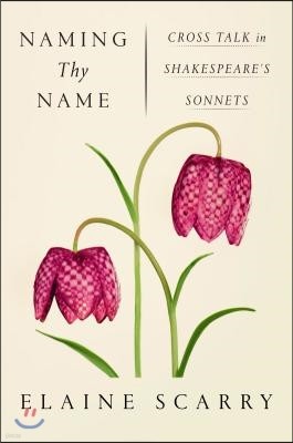 Naming Thy Name: Cross Talk in Shakespeare's Sonnets
