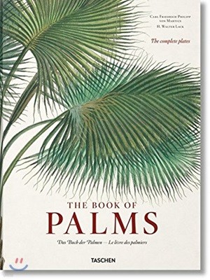 Martius. the Book of Palms