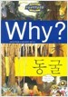 Why? 동굴 (아동/만화/큰책/양장본/2)