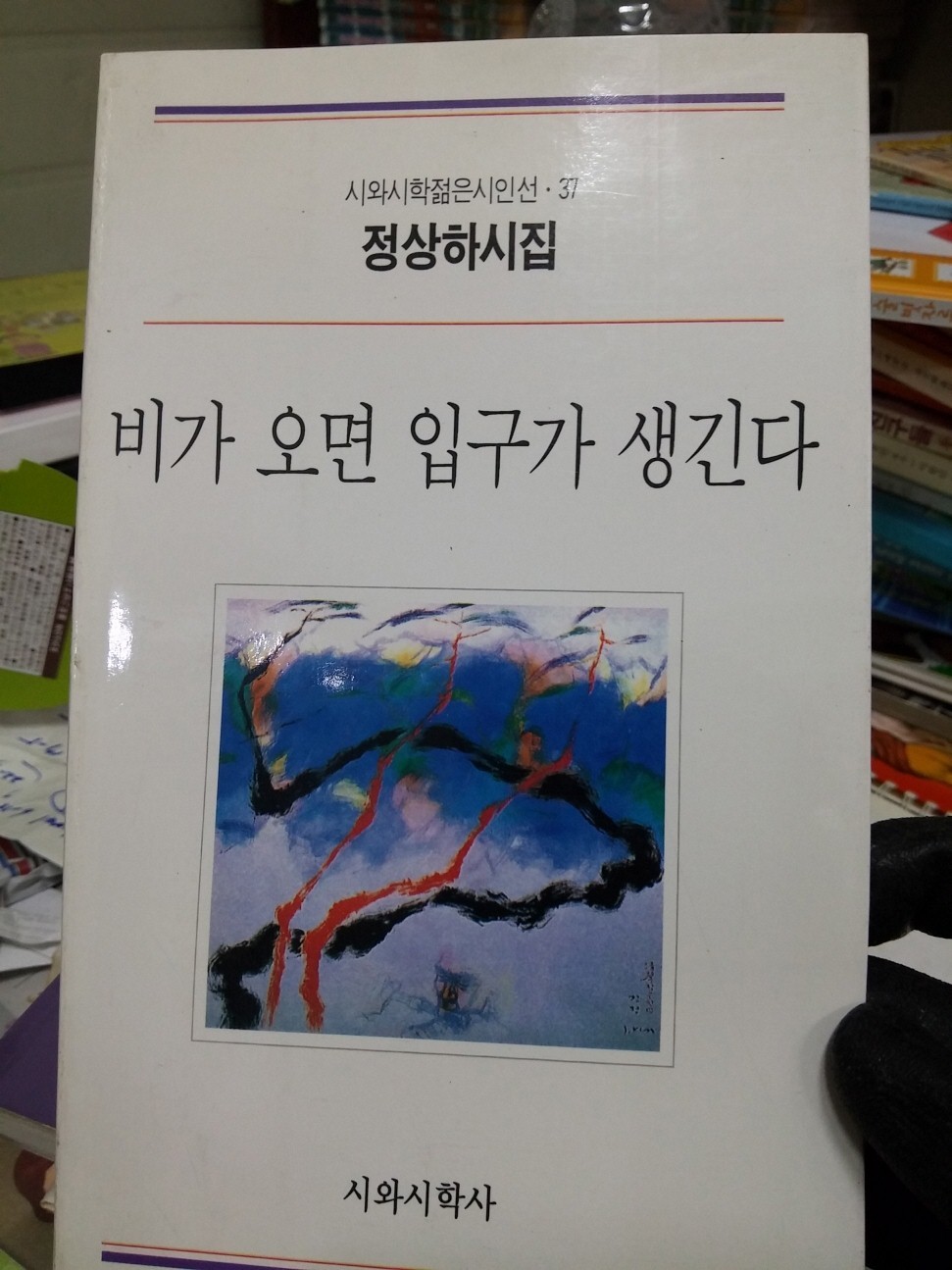 비가 오면 입구가 생긴다 - 정상하(초판)