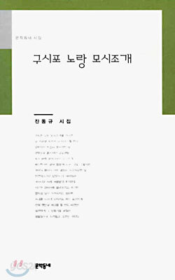 구시포 노랑 모시조개