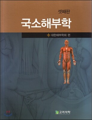 국소해부학