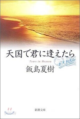 天國で君に逢えたら