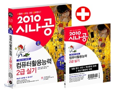 2010 시나공 컴퓨터활용능력 2급 실기