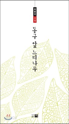 동구 앞 느티나무