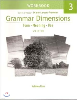 Grammar Dimensions 3 : Workbook