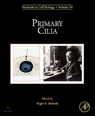 The Primary Cilia
