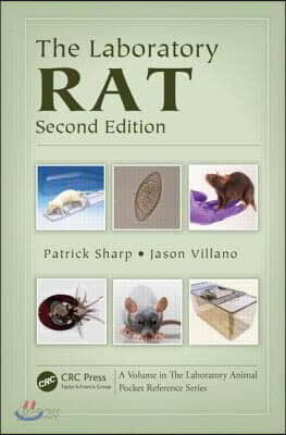 Laboratory Rat