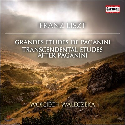 Wojciech Waleczek 리스트: 파가니니 초절기교 연습곡, 파가니니 대연습곡 (Liszt: Grandes Etudes de Paganini, Transcendental Etudes after Paganini) 보이체흐 발레체크