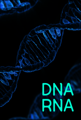 DNA RNA : 염색체, 유전자 방추사