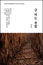 한국문학 필독서 김유정 금 따는 콩밭